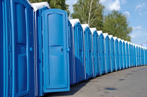 Best Affordable portable toilet rental  in Geneva, IL